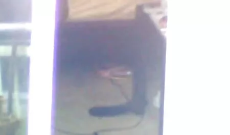 A se vedea găurile de fete poze cu fete frumoase si sexi frumoase