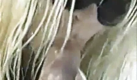 Vezi mâncare rusă poze cu fete frumoase si sexi de casă în bucătărie