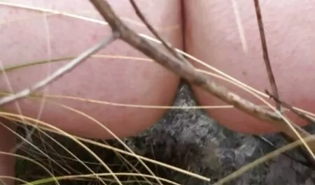 Tânăra doamnă Roșie își dă pizda și o ia poze fete sexi cu spermă groasă.
